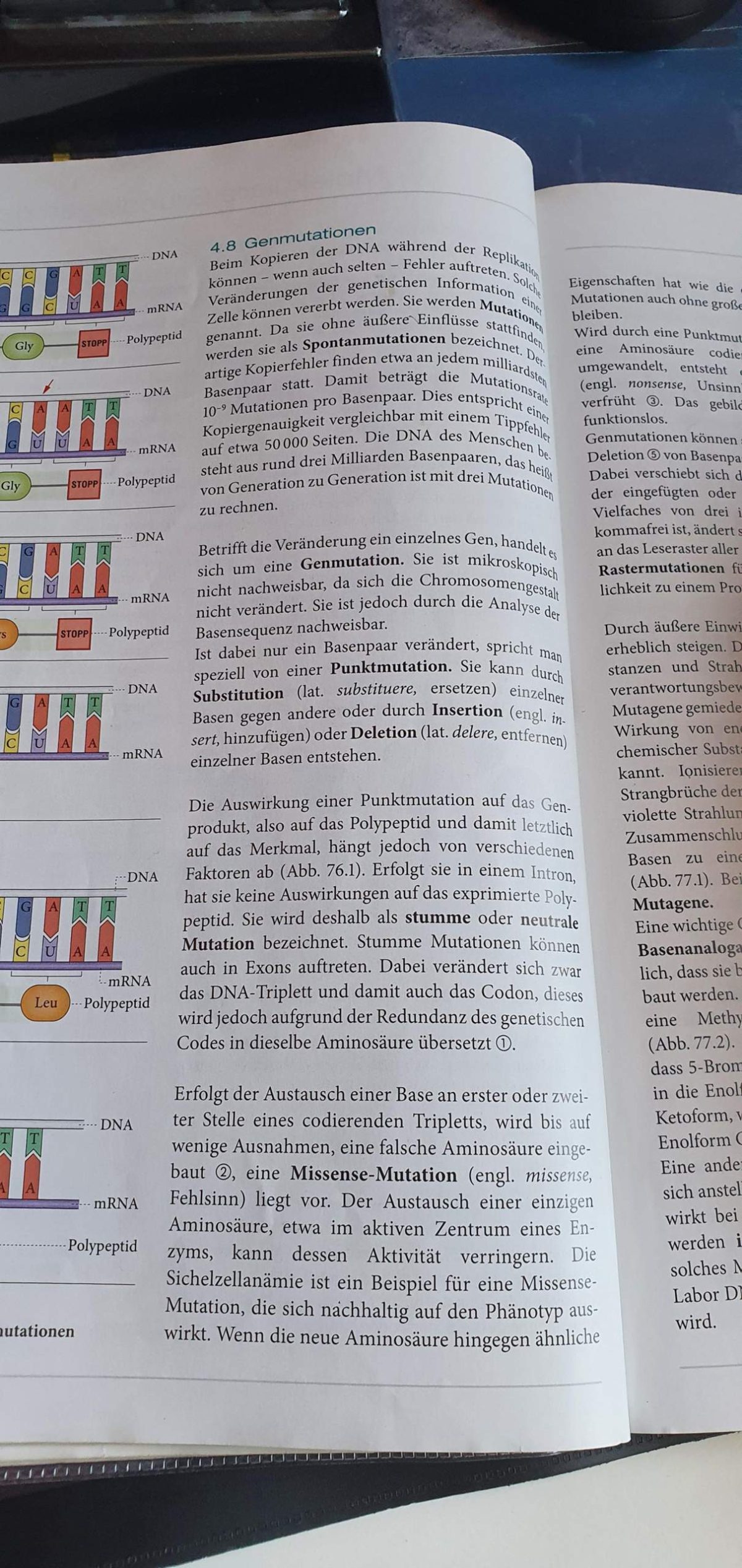 Biologie übungen Mutationen Oberstufe Ausdrucken