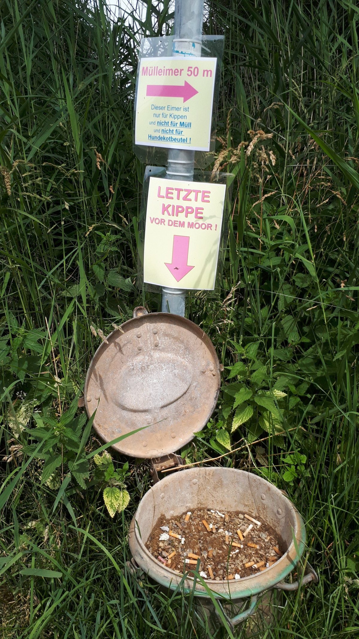 übung Kippe Bilder Zum Ausdrucken