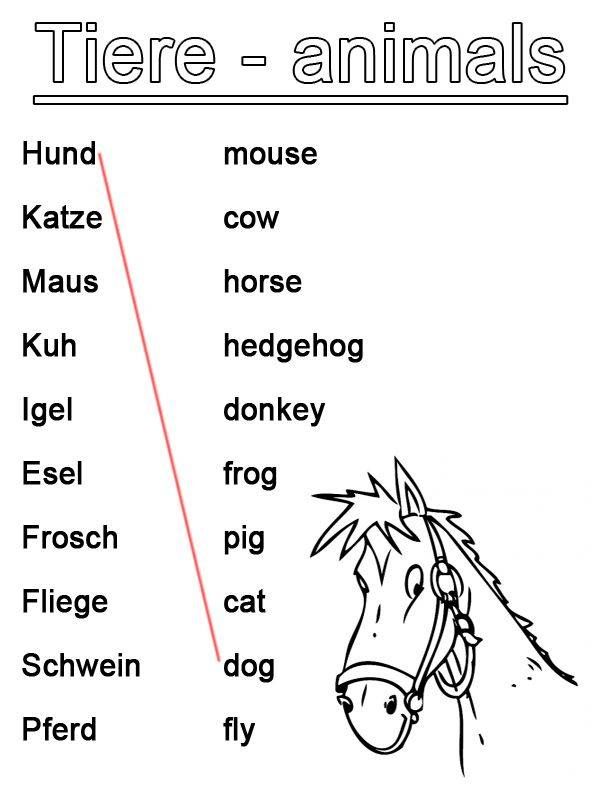 Englisch Anfänger übungen Ausdrucken