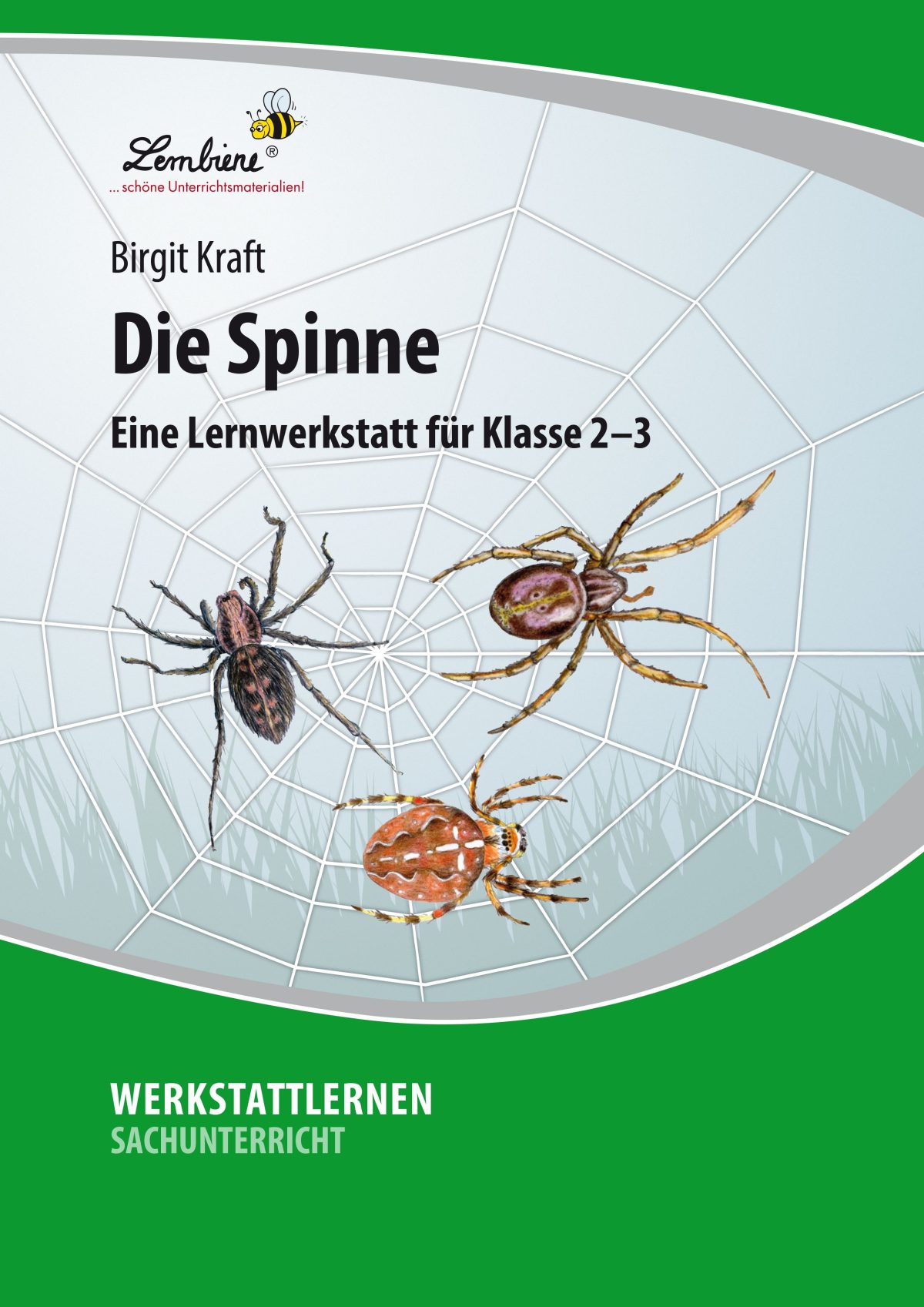 Quel übungen Zum Ausdrucken übungskönig
