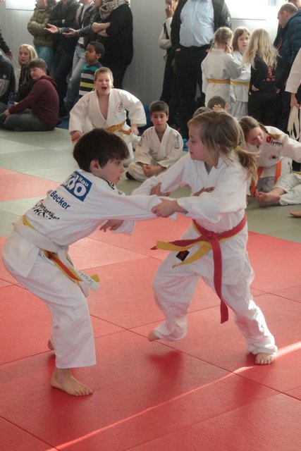 Judo Heft Mit übungen Zum Ausdrucken