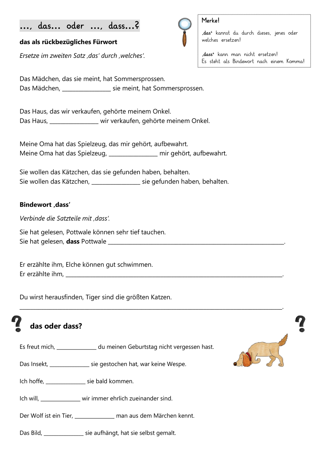 übungen Das Dass Zum Ausdrucken