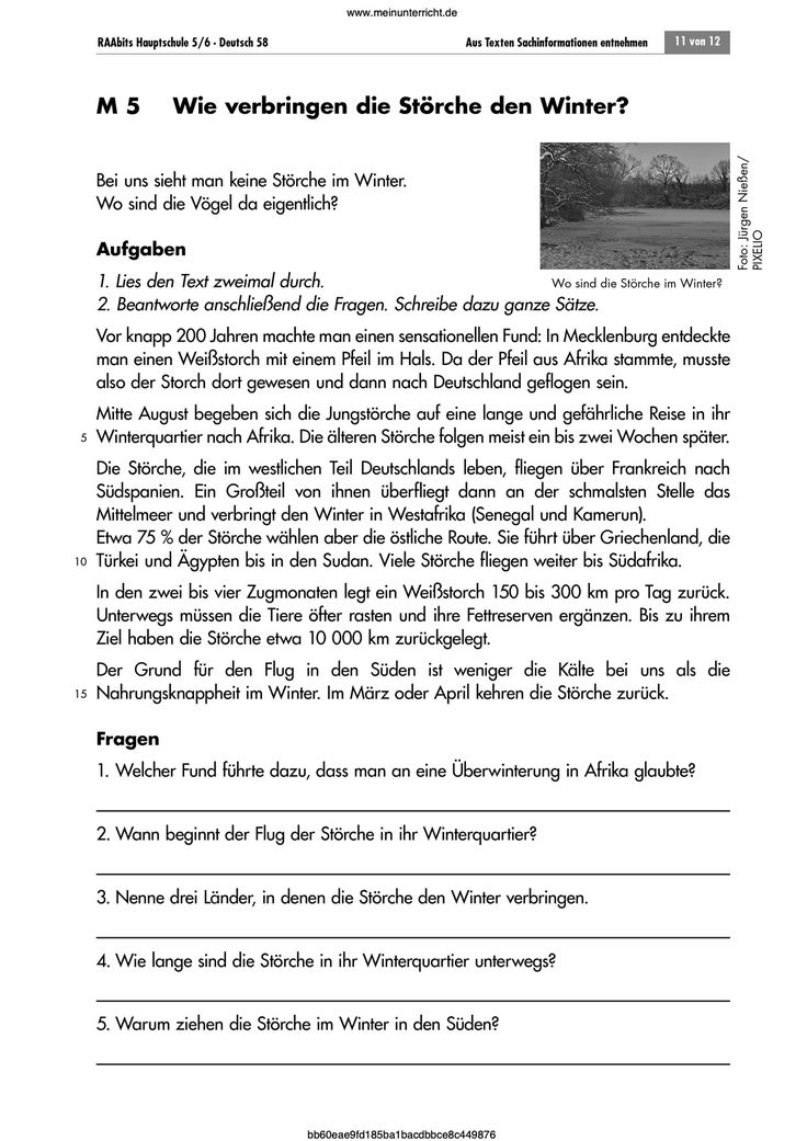 Englisch übung 6 Klasse Mittelschule Zum Ausdrucken Mit Did